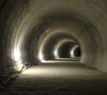 IMG 1610 360x320